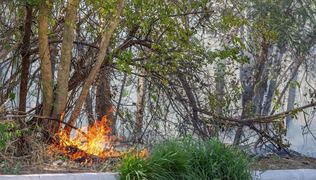 Incêndio em vegetação na Avenida Joaquim Nelson