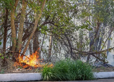 Incêndio em vegetação na Avenida Joaquim Nelson
