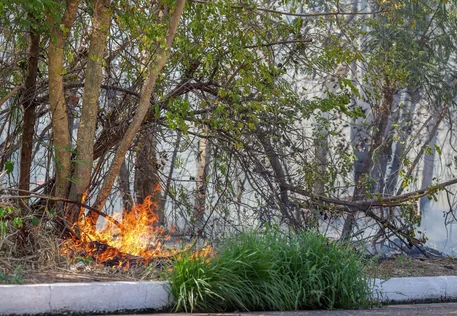 Alepi aprova projeto de lei que institui tecnologia para detectar incêndios