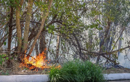 Incêndio em vegetação na Avenida Joaquim Nelson