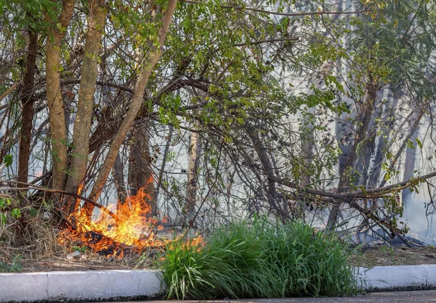 Incêndio em vegetação na Avenida Joaquim Nelson