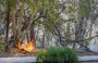 Incêndio em vegetação na Avenida Joaquim Nelson