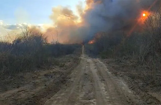 Incêndio na cidade Morro Cabeça no Tempo
