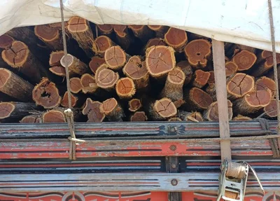 Madeira transportada irregularmente em Picos