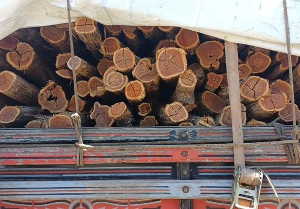 Madeira transportada irregularmente em Picos
