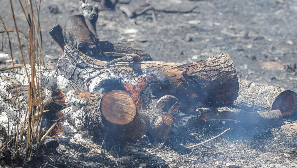 O fogo destruiu a vegetação do local