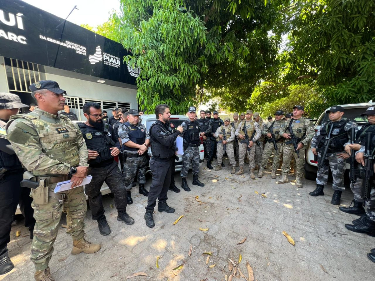 Operação deflagrada pelo DENARC no município de José de Freitas