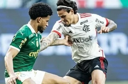 Palmeiras e Flamengo se enfrentam pelo Brasileirão