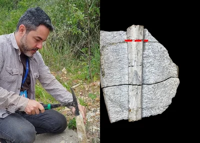 Professor Paulo Victor de Oliveira registrou primeiro fóssil de pterossauro encontrado no Piauí