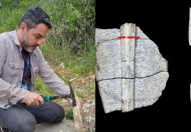 Professor Paulo Victor de Oliveira registrou primeiro fóssil de pterossauro encontrado no Piauí