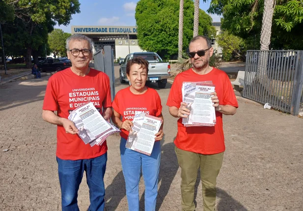 Professores da Uespi