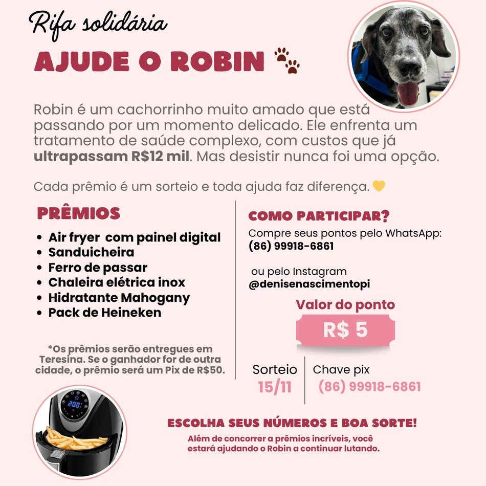 Rifa para ajudar cãozinho Robin