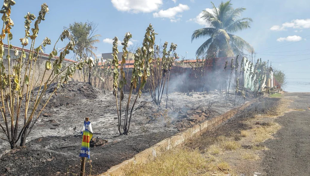 Terreno foi tomado pelo fogo