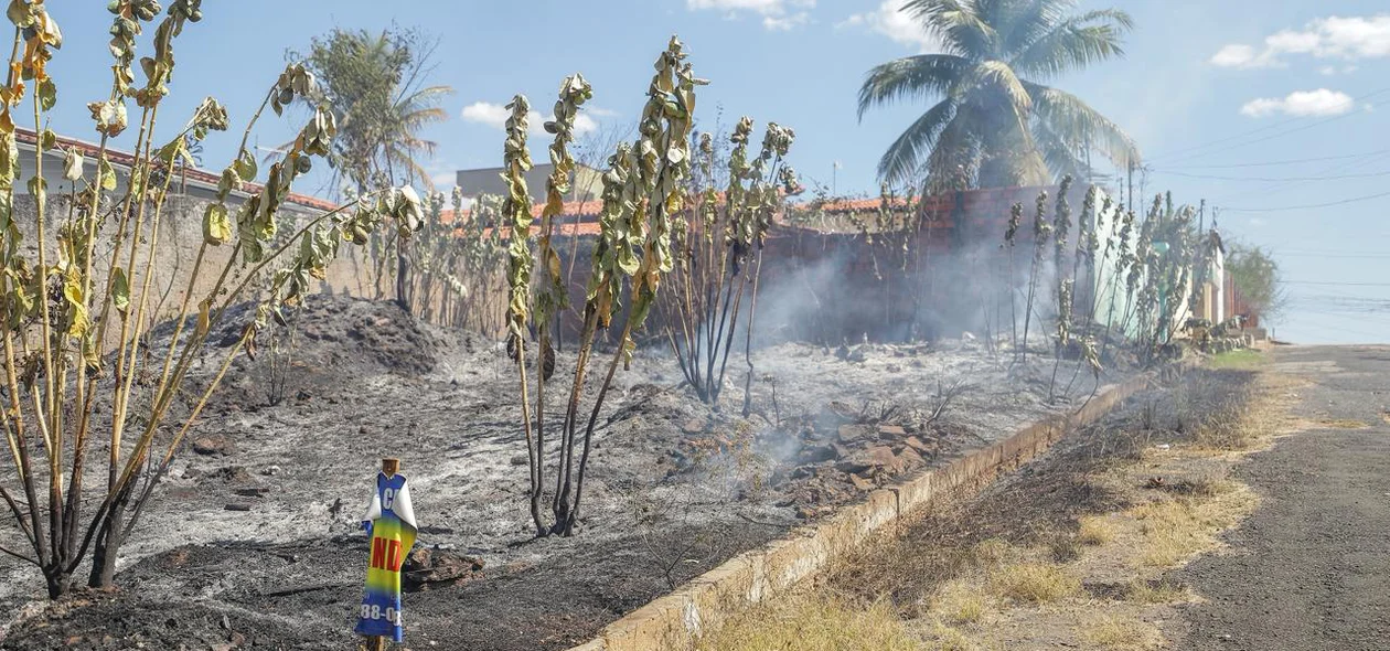 Terreno foi tomado pelo fogo