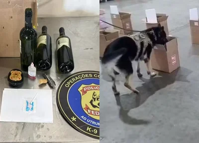 A ação contou com o apoio de cães farejadores
