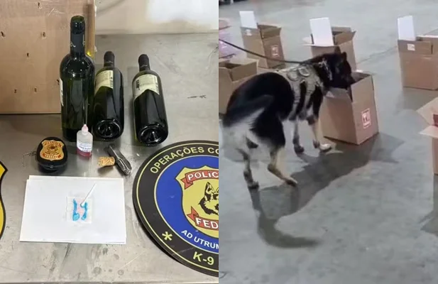 A ação contou com o apoio de cães farejadores