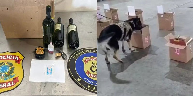 A ação contou com o apoio de cães farejadores