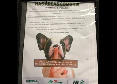 Aviso em condomínio para moradores não alimentarem animais abandonados