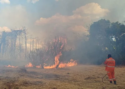 Bombeiro controlando o incêndio