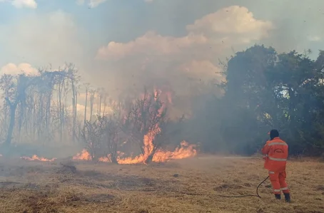 Bombeiro controlando o incêndio