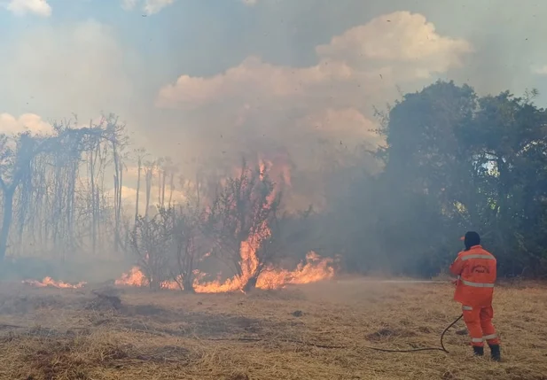 Bombeiro controlando o incêndio