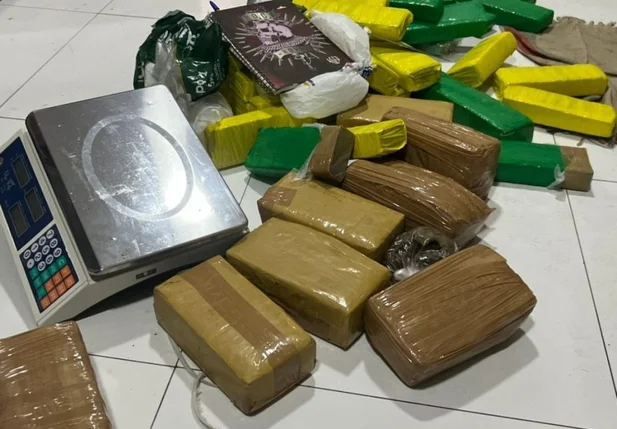 Entorpecentes apreendidos em operação conjunta do Denarc com a Polícia Militar do Piauí
