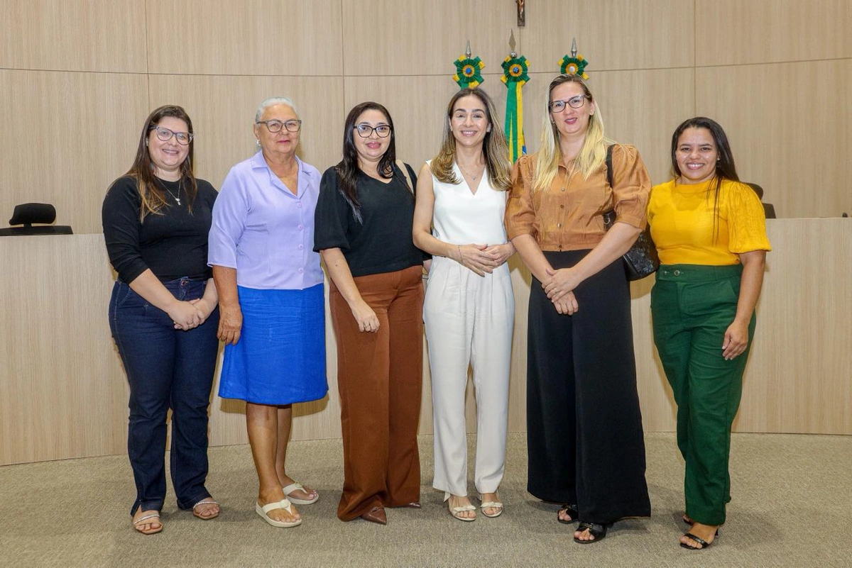 Formação sobre o Aplicativo Piauí Primeira Infância