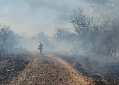 Incêndio na localidade Aroeira em São Miguel do Tapuio
