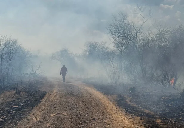 Incêndio na localidade Aroeira em São Miguel do Tapuio