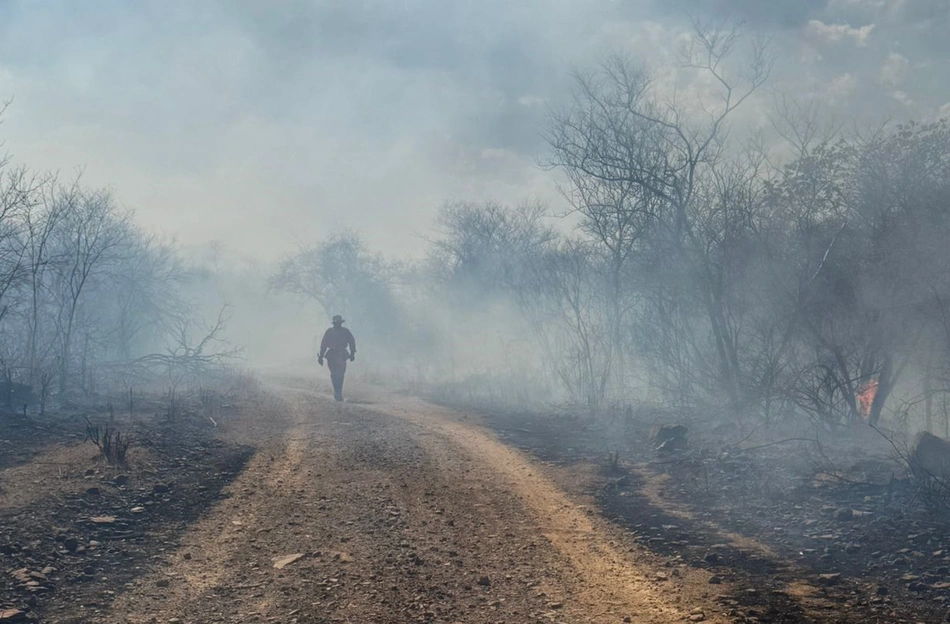 Incêndio na localidade Aroeira em São Miguel do Tapuio