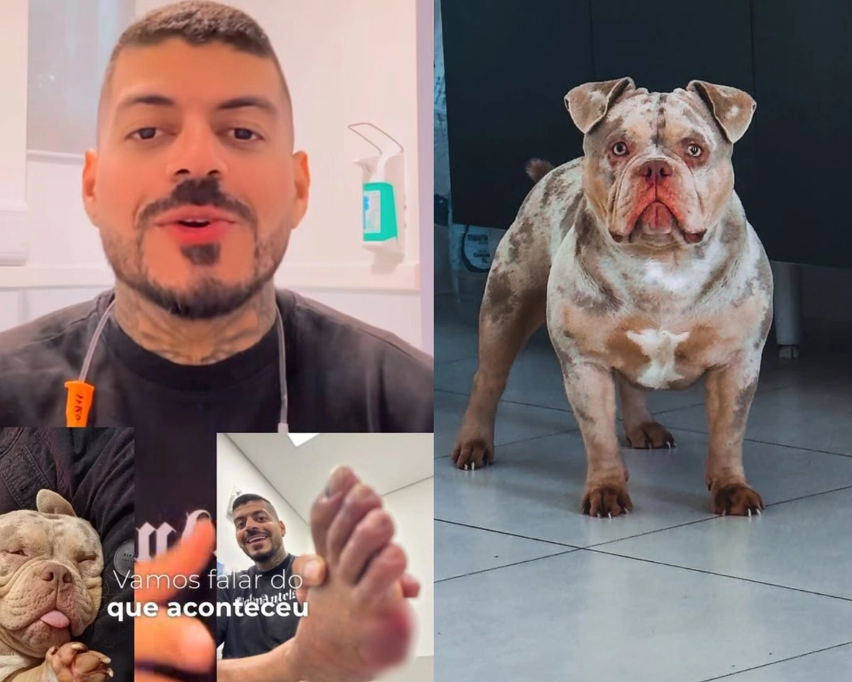 Influenciador conta em suas redes sociais que teve o dedo comido por seu próprio cachorro