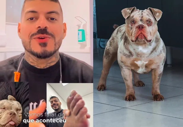 Influenciador conta em suas redes sociais que teve o dedo comido por seu próprio cachorro