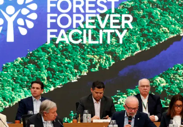 Janja ocupa 'lugar de honra' ao lado de Lula na COP30