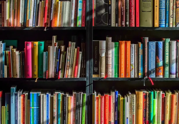 Livros na estante