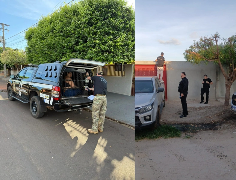 Polícia durante cumprimento do mandado de prisão em Geminiano