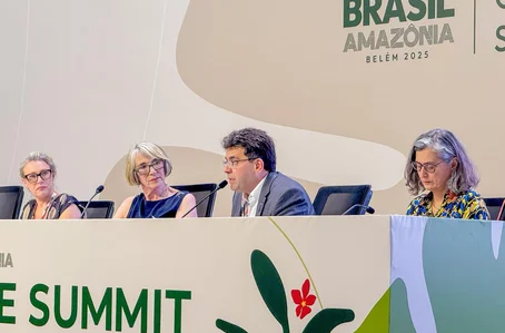 Rafael Fonteles na COP30