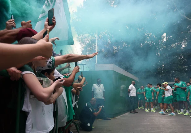 Torcida do Palmeiras