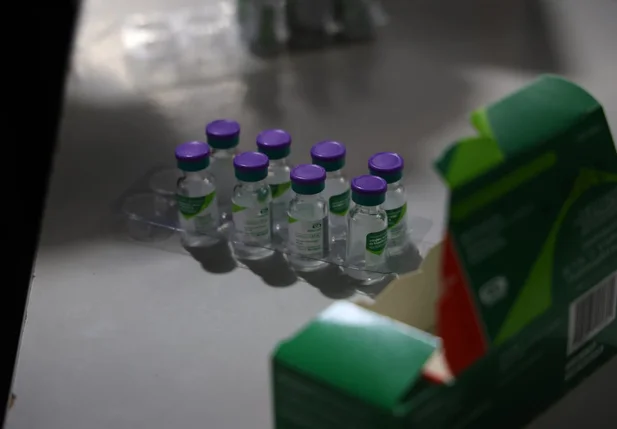 Vacina contra a dengue