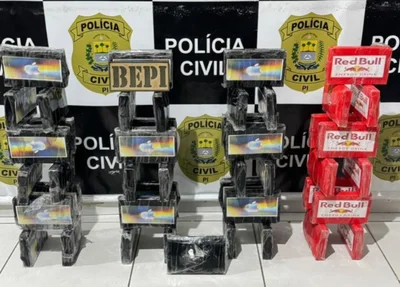 Cocaína apreendida pelo BEPI em Oeiras