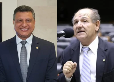 Dr. Flávio e José Olímpio, suplentes de Eduardo Bolsonaro e Ramagem