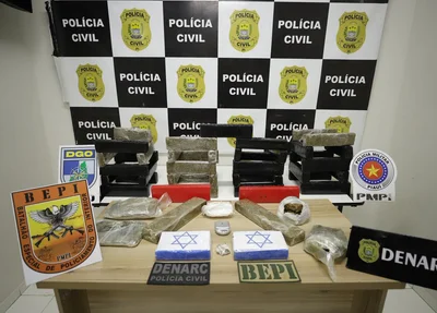 Drogas apreendidas pelo DENARC