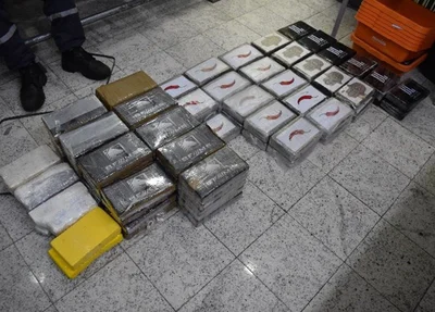 Entorpecentes apreendidos pela Polícia Federal no Aeroporto de Guarulhos
