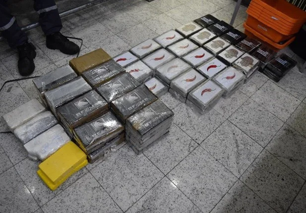 Entorpecentes apreendidos pela Polícia Federal no Aeroporto de Guarulhos