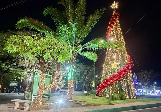 Grande árvore na cidade