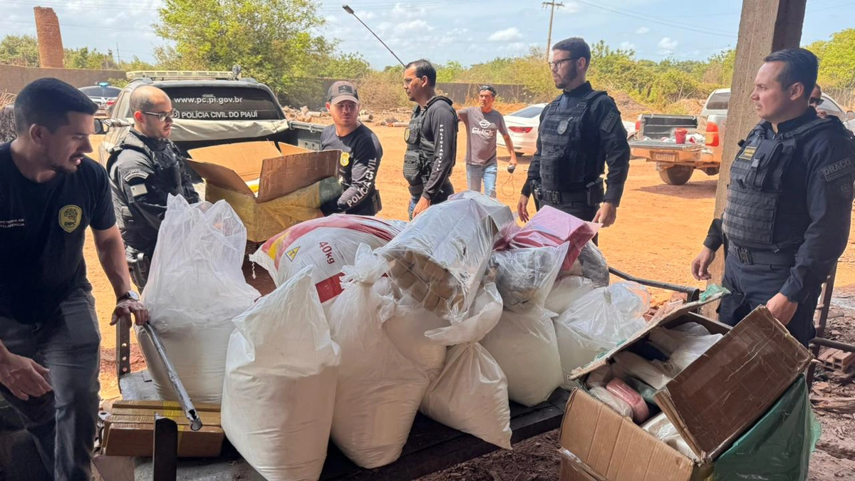 Incineração de drogas