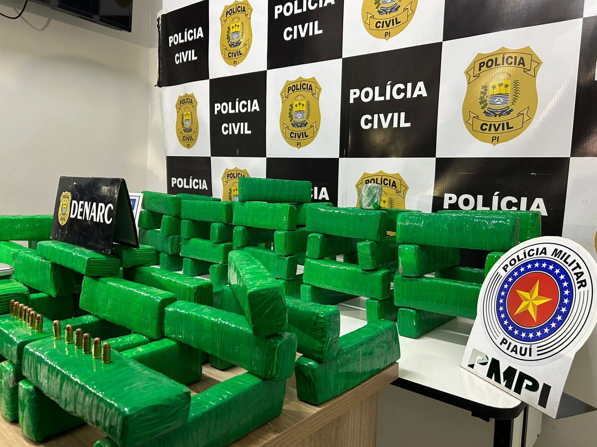 Maconha apreendida na zona sul de Teresina