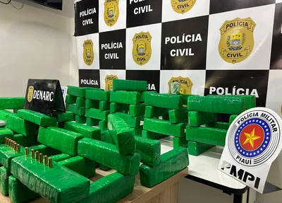 Maconha apreendida na zona sul de Teresina