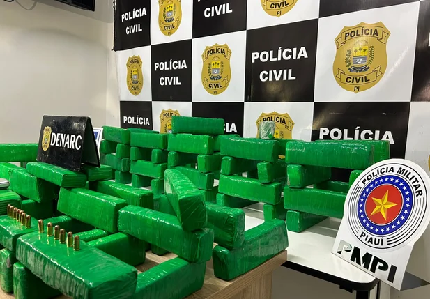 Maconha apreendida na zona sul de Teresina