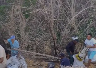 Populares saqueiam carga de milho no rodoanel de Teresina