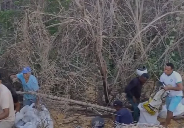 Populares saqueiam carga de milho no rodoanel de Teresina